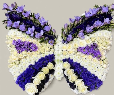 lilac and white  Butterfly