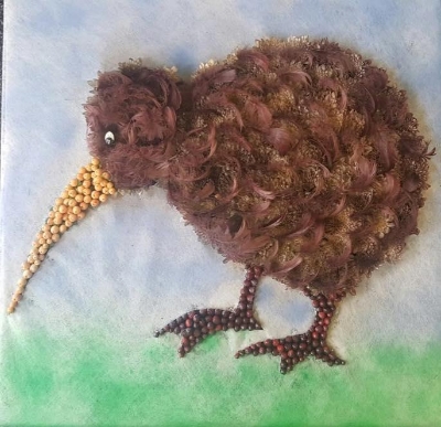 Kiwi Bird