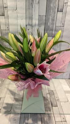 Lavish Lilies