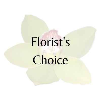 Florist Choice Aqua