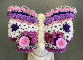 Lilac and pink butterfly