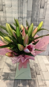 Lavish Lilies