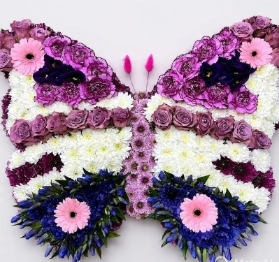Pink and Purple Butterfly