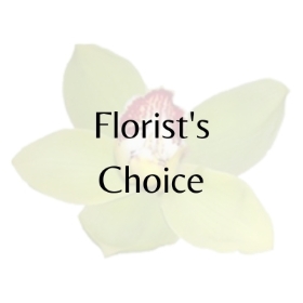 Florist Choice Modern Aqua