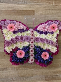 Pink and Purple Butterfly