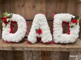 Silk Dad Tribute (Red) For Hire